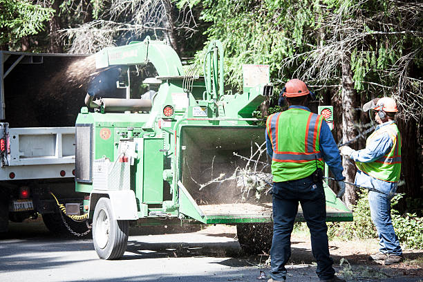 Best Utility Line Clearance  in Browns Lake, WI